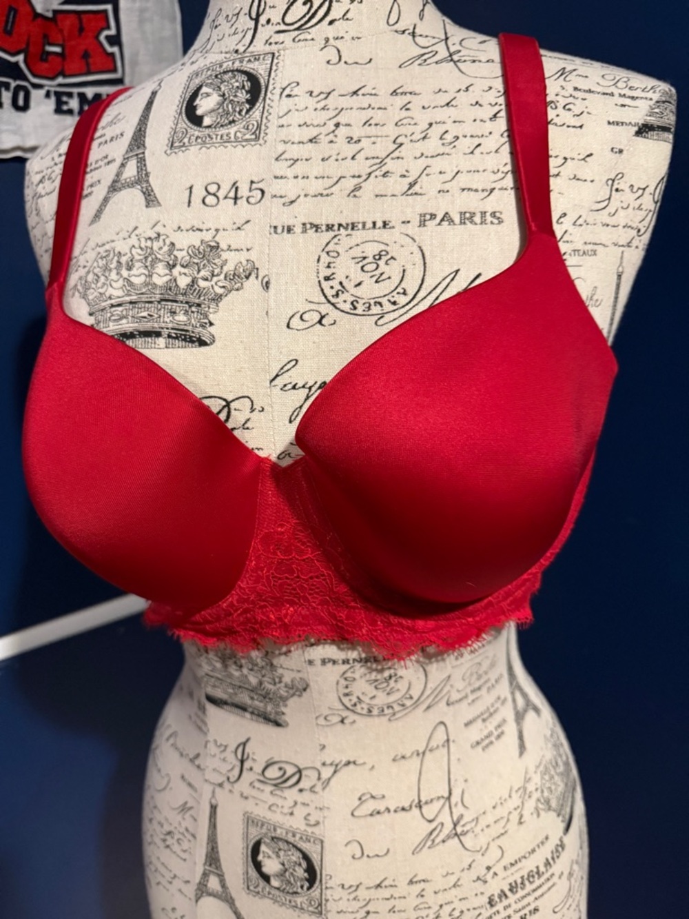 Ambrielle Red Lace Longline T-Shirt Bra